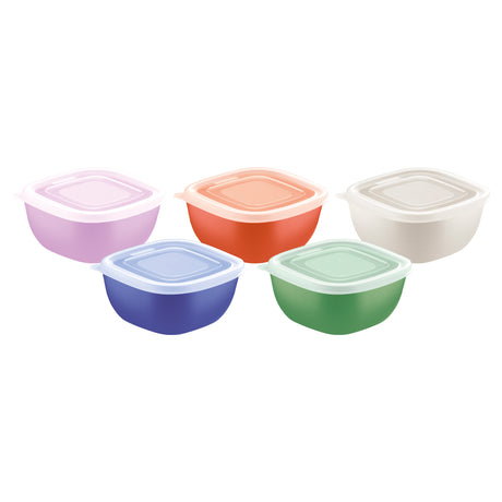 MixColor 300 ml Mixed Polypropylene Container with Transparent Lid