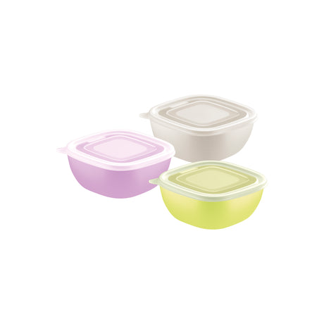 MixColor 600 ml Mixed Polypropylene Container with Transparent Lid