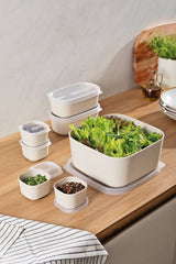 Tramontina MixColor 7-Piece Set of Cotton Polypropylene Containers with Transparent Lids