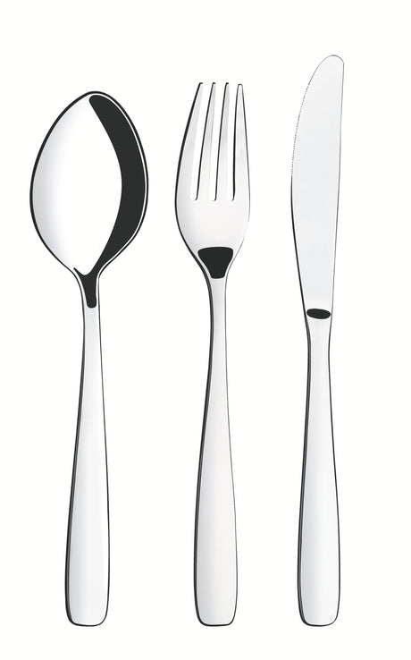 Amazonas stainless steel flatware 24 pc set