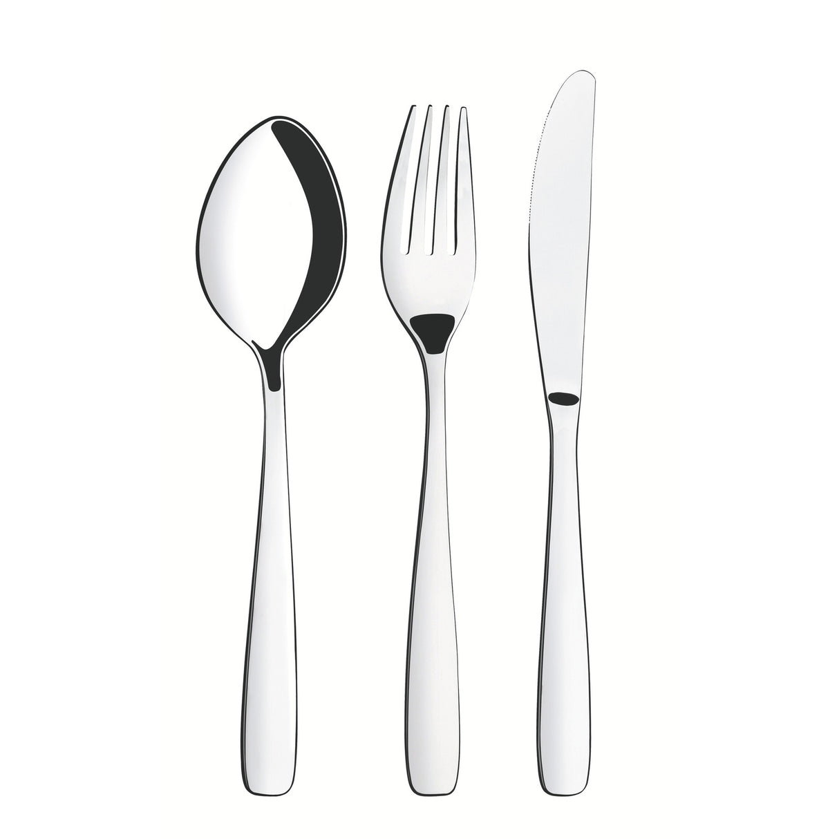 Amazonas stainless steel flatware 24 pc set